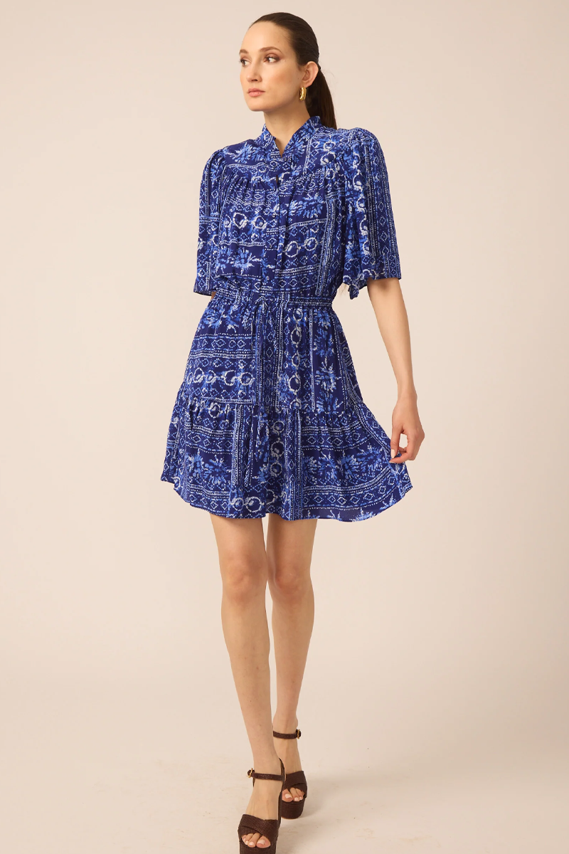 Gilner Farrar Adelyn Dress in Santorini Print
